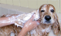 Peluquer&iacute;a